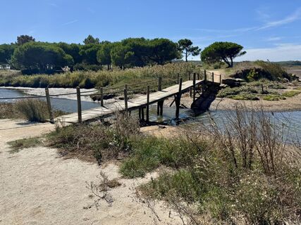 Photo de Heike Hadamus le long du parcours