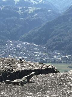 Foto von Jörg Sanio entlang der Tour