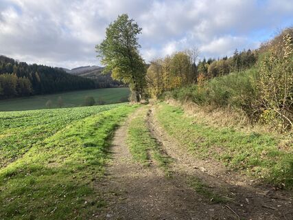 Foto von Ballonfrank on the Road entlang der Tour