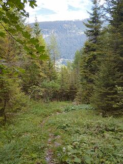 Fotografia z Heinz Blümel na trase