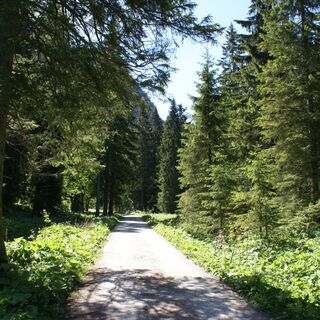 Bleckenautal