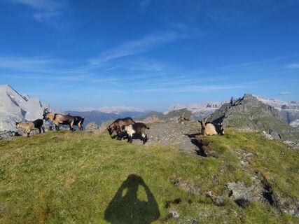 Foto von El_Gamso entlang der Tour