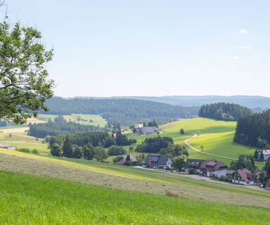 Blick vom Roßberg