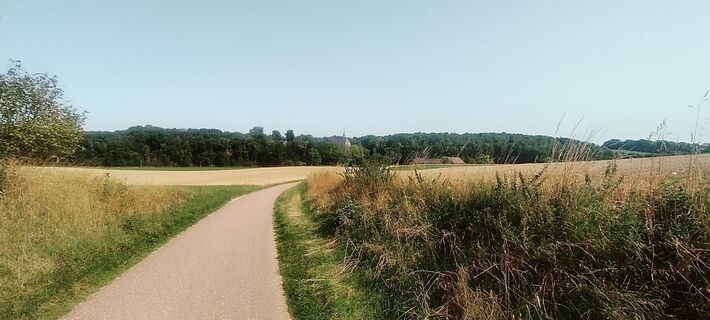 Photo de Niek Werf le long du parcours