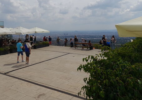 Kahlenberg Terrasse