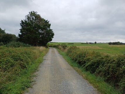 Foto de Mark Schippers a lo largo del recorrido