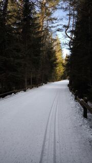 Fotografie z Mirko Stefani na trase