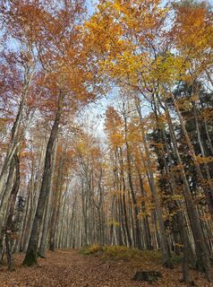 Zdjęcie z Harald Kriebel wzdłuż trasy