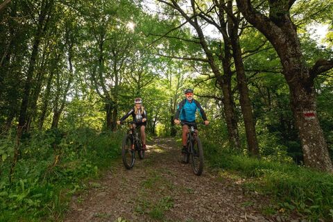 MTB Wienerwald