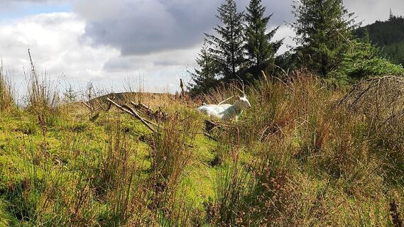 Foto de Ub a lo largo del recorrido