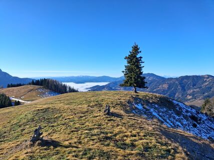 Foto von maria_hochschwab entlang der Tour