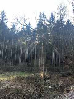 Paudorf, Niederösterreich/Österreich