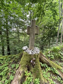 Foto von Elisabeth Leitner-Rauchdobler entlang der Tour