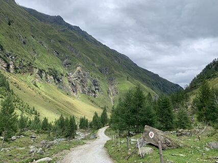 Foto von Koen De Wit entlang der Tour