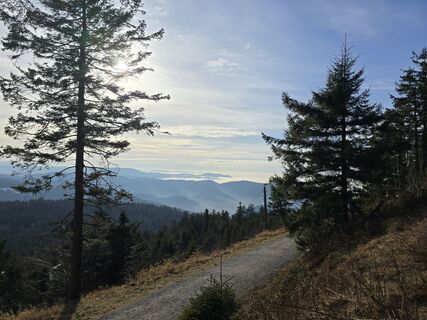 Foto de Michel Kennel a lo largo del recorrido