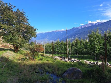 Foto fra Claudia Gander underveis på turen