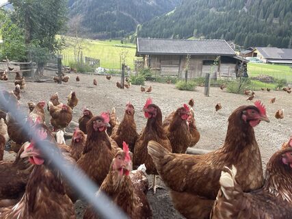 Photo from Mario Gramer along the tour