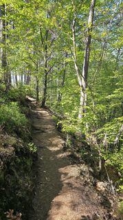 Photo de Yvonne Karcher le long du parcours