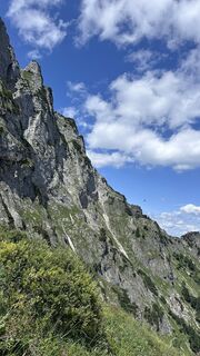 Fotografija s spletne strani Mountain Cat ? ⛰️ na poti