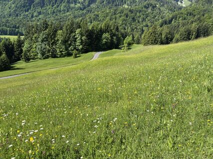 Foto von Dominik Wymann entlang der Tour
