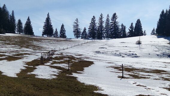 Foto de Ernst Brezina a lo largo del recorrido