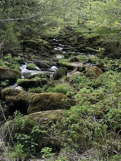 Zdjęcie z Hardy66 wzdłuż trasy