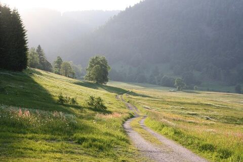 Menzenschwand