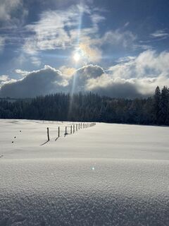 Foto fra Richard Bronold underveis på turen
