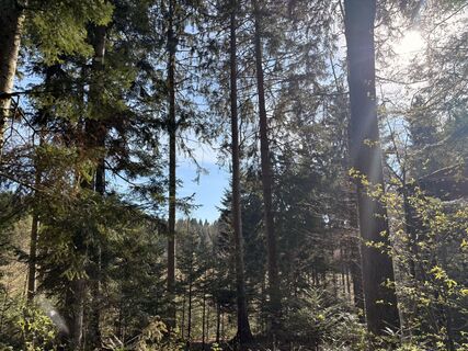 Foto de Nina Astleitner a lo largo del recorrido