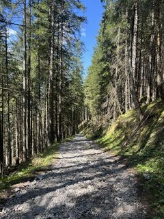 Foto von Jürgen Clement entlang der Tour