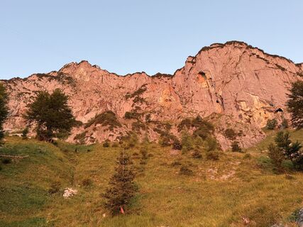 Zdjęcie z Natur_erleben_dg wzdłuż trasy