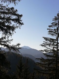 Ötscher im HInergrund
