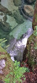 Photo de Pascal Ch. le long du parcours