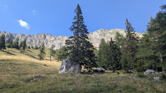 Photo de Jacky le long du parcours