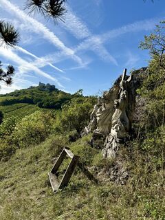Fotografija s spletne strani Barbara Schober na poti