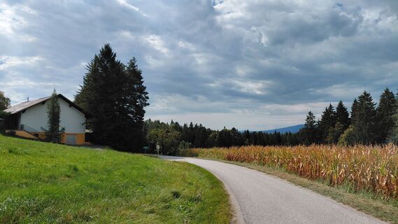 Photo de Wolfgang Arlic 1 le long du parcours