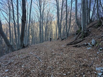 Foto de Stefano Calligaris 1 a lo largo del recorrido