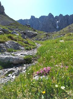Photo de Daniel Seiwald le long du parcours