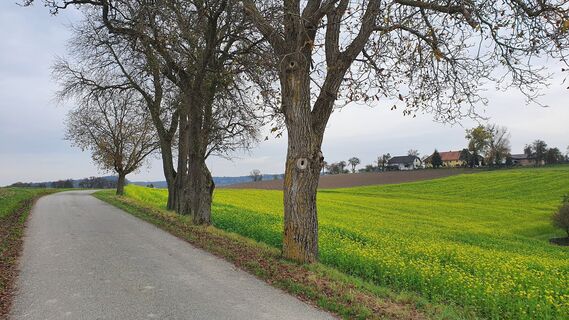Richtung Krenglbach