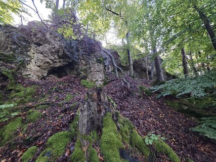 Fotografija s spletne strani Alexander Becker na poti