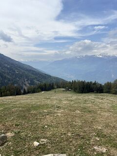Foto da Peter Schäfer lungo il tour