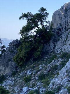 Fotografija s spletne strani Gregor pratter na poti