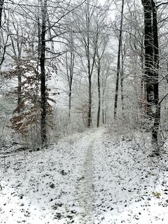 Foto von Kellner Heidi entlang der Tour