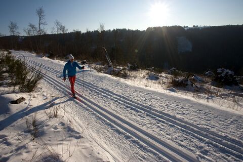 Langlauf im Sonnenschein