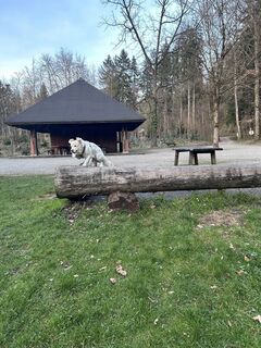 Foto von Bene Schadel entlang der Tour