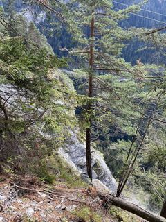 Photo de Daniel Bulfoni le long du parcours