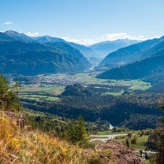 Alp Mora