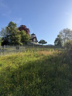 Foto von Andi Felix entlang der Tour
