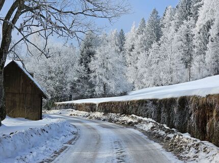 Foto von Franz Russ entlang der Tour