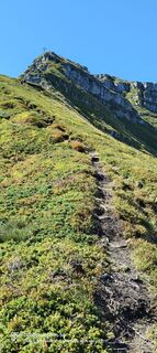 Photo de Sherpa 960 le long du parcours